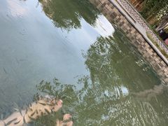 -三江森林温泉度假区