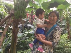 -呀路古热带植物园