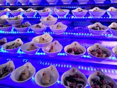 -食尚名肴自助涮烤