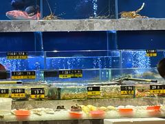 -德兴show鲜·蒸汽海鲜火锅餐厅(格创悦里店)