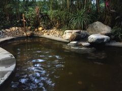 咖啡池-碧桂园润杨溪谷温泉酒店