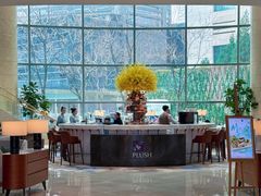 -Plush大堂酒廊(北京金融街威斯汀大酒店)