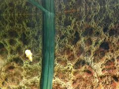 -北戴河圣蓝海洋公园