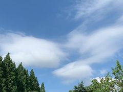-上海虹桥迎宾馆