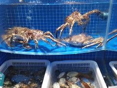 水产区-七鲜超市(通州ONE店)