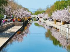 -海棠花溪(元大都城垣遗址公园)