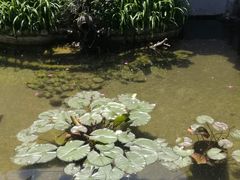 -膳和缘炒鸡店(南门路店)