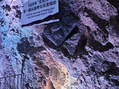-北京周口店北京人遗址博物馆