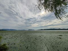 -东钱湖旅游度假区