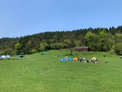 -武陵山森林公园