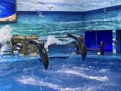 -多彩贵州城极地海洋世界