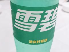 -大鸭梨烤鸭店(光彩店)