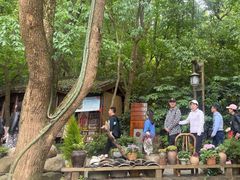 -天目湖山水园