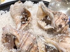 -益利大酒楼(井岸店)