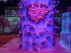 -雪山彩虹谷景区
