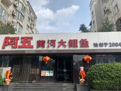 -阿五黄河大鲤鱼(建业路店)