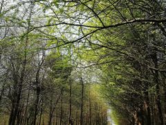 -金山嘴渔村