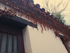-戚继光故里