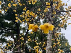 -蜀冈西峰生态公园