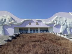 -大青山野生动物园