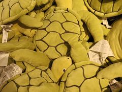 -宜家家居(四元桥商场店)