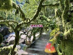 -尧山大峡谷漂流