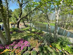 -上海共青森林公园