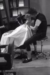 -T8 SALON