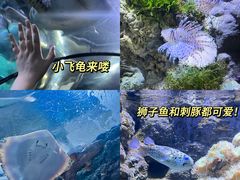 -郑州海洋馆