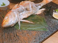-九州酒场ひこぞう(2号店)