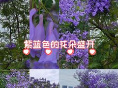 -重庆彩云湖湿地公园