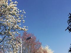-凤凰沟景区