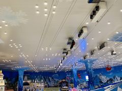 -湘江欢乐城欢乐雪域