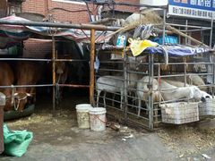 android_upload_pic-王三姑牛肉饼