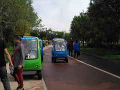 -武清南湖绿博园