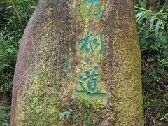 -梧桐山风景名胜区