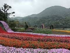 -广州市石门国家森林公园