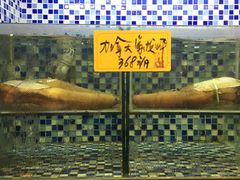 -顺德了能馆(虎门店)