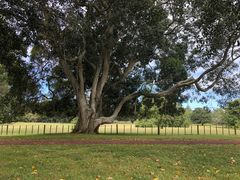 -Takapuna Beach Cafe