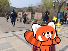 -香雪海