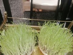 -洪氏嗨捞·猪肚鸡火锅(阳光天地店)