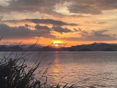 -绿城千岛湖喜来登度假酒店