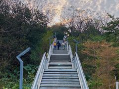 -佛山华盖山公园
