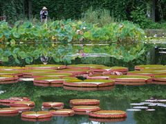 -国家植物园南园