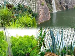 -上海辰山植物园
