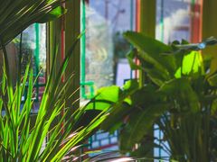 -Catch Bagel(芳草地店)