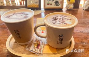 Cat Cat Bringing Wealth