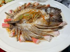 -红蜡烛-养生粥-津鲁菜(中山路店)