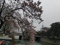 -成都市活水公园