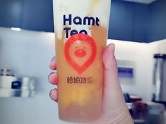 -哈姆特布蕾波波奶茶(江宁镇滨江店)